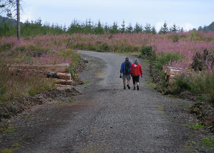Bed and breakfast Isidorus *